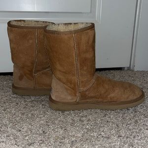 Classic Uggs